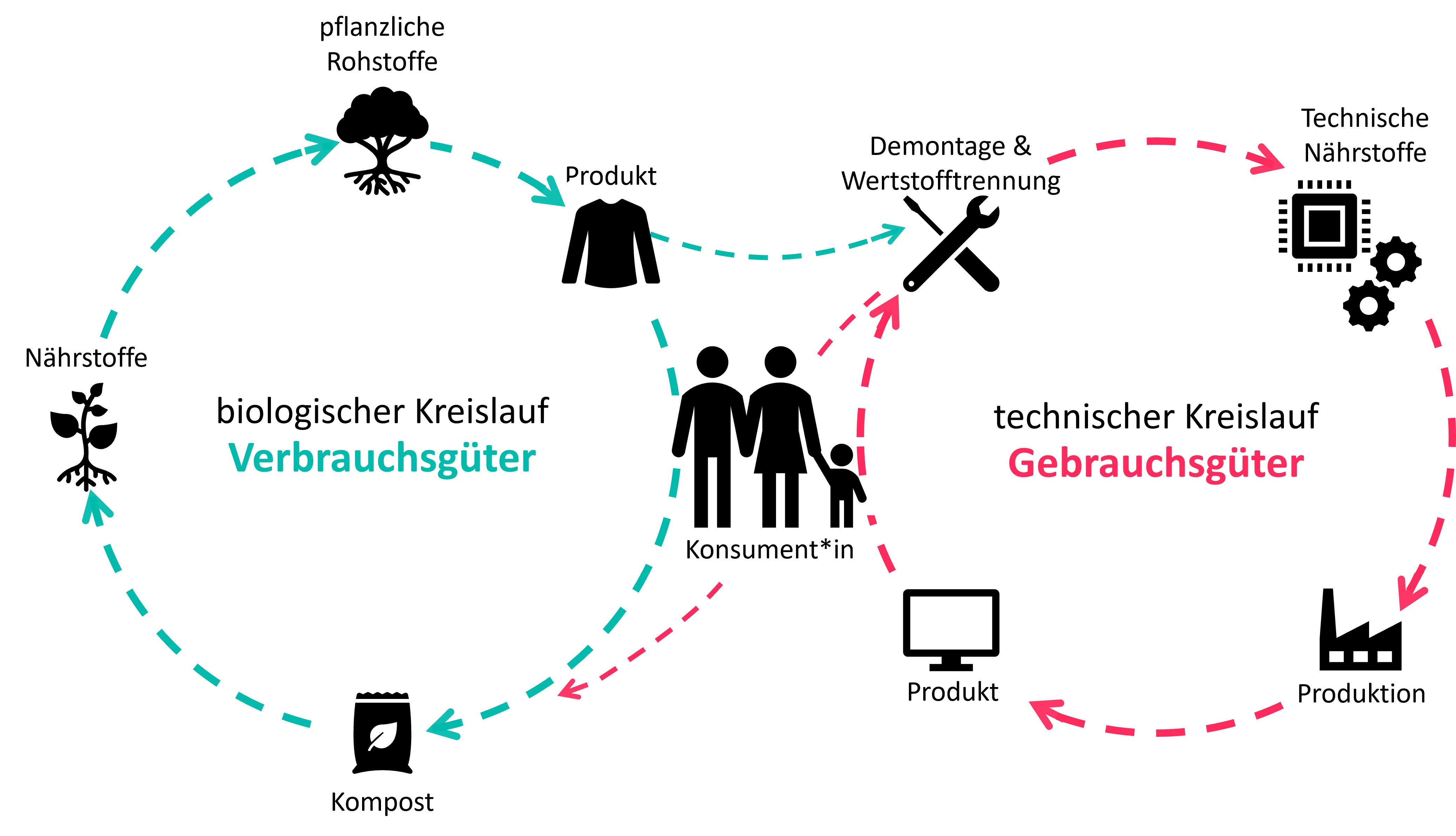 Cradle to Cradle Kreislauf
