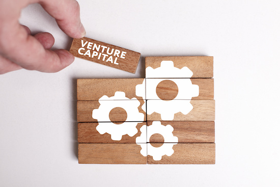 Venture Capital als Holzbaustein