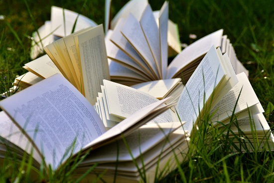 Verlag Bücher Bücher Wiese