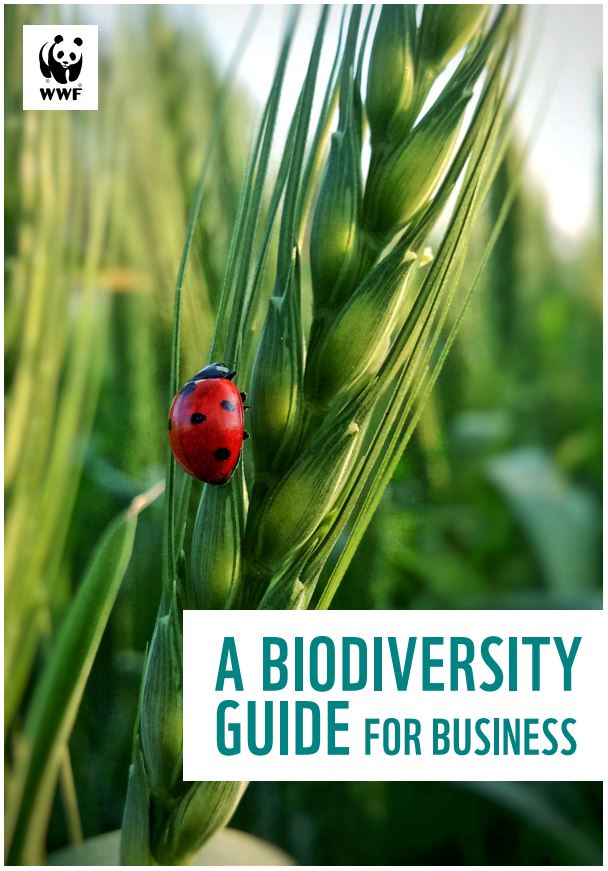 2022_BRF_BiodiversityGuideforBusiness.JPG