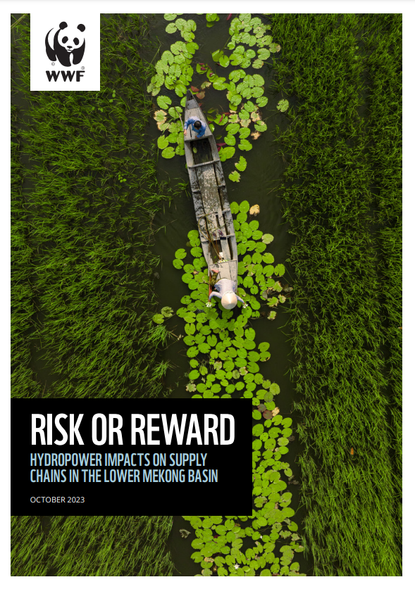 2023_risk-or-reward-hydropower-impacts-report.PNG