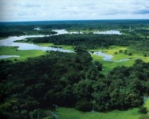brazilian landscape