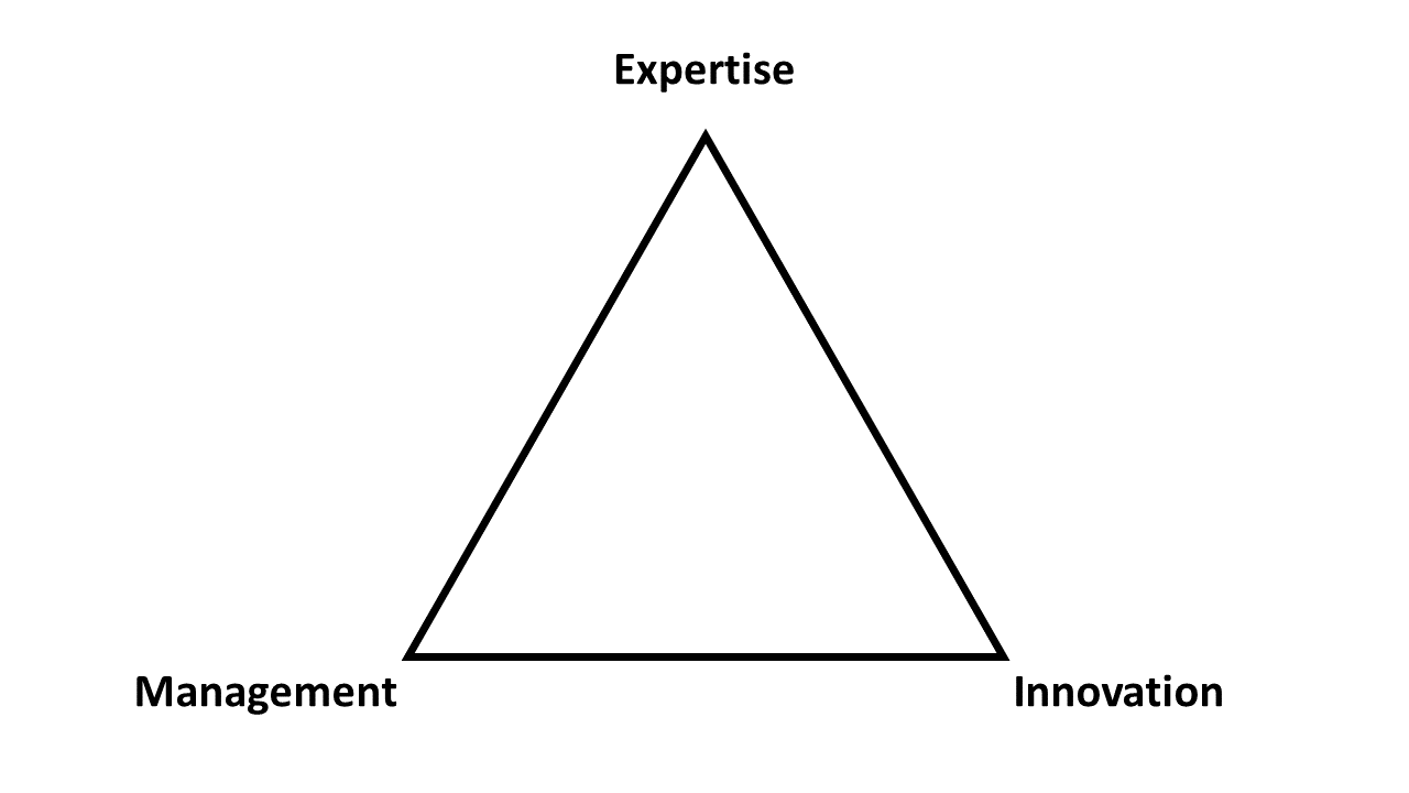 pyramid: expertise, innovation, management