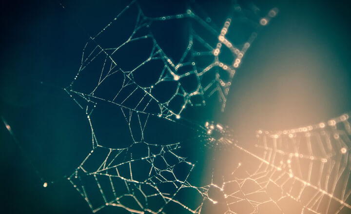 wie Selbstständige, Einzelunternehmen und Kleinunternehmer Netzwerke aufbauen und Pflegen können